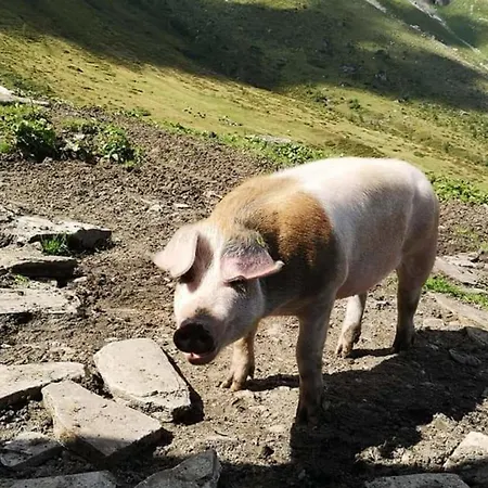 Apartament Kerstin 4